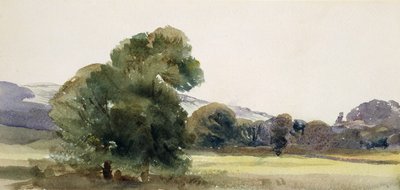 Trees in a Field by Peter de Wint